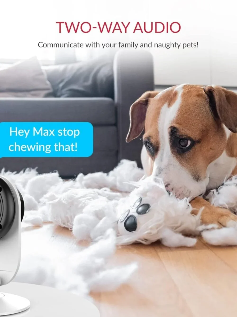 YI Pro 2K 4PC Home Security Cameras Bundle: Person, Vehicle, Animal Smart Detect
